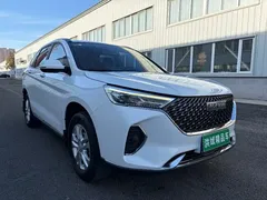 2021 Haval M6 Plus 1.5T MT Comfort, белый — фото 3