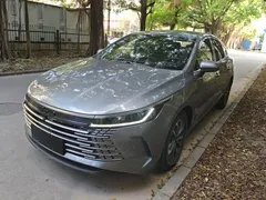 2024 BYD Destroyer 05 DM-i PHEV 55km Luxury — фото 2