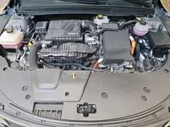2024 BYD Destroyer 05 DM-i PHEV 55km Luxury — фото 20