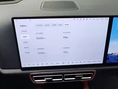 2023 Li Auto L9 Pro, зелёный — фото 14