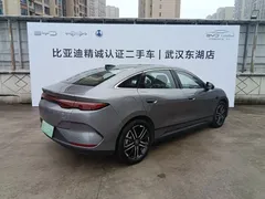 2025 BYD Qin L EV 545km Excellence — фото 20