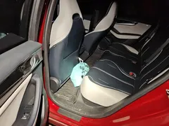 2021 BYD Qin PLUS EV 500KM Luxury — фото 13