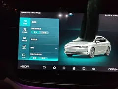 2021 BYD Qin PLUS EV 500KM Luxury — фото 20