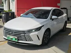 2024 BYD Destroyer 05 DM-i PHEV 55km Luxury, белый — фото 1