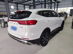 2021 Haval H6 1.5T AT Guochao Urban, белый — фото 7