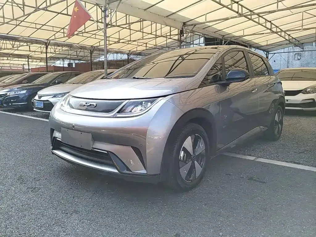 2023 BYD Dolphin 420km Fashion