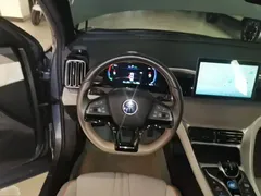 2024 BYD Song Pro Honor DM-i PHEV 71km Navigator — фото 11