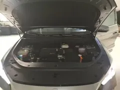 2024 BYD Song Pro Honor DM-i PHEV 71km Navigator — фото 20