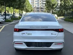 2024 BYD Qin PLUS Honor Edition EV 420km, белый — фото 8