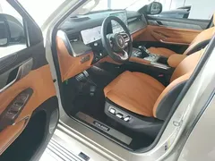 2023 Tank 500 3.0T Business 5-seat — фото 16