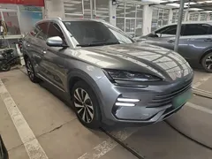 2023 BYD Song PLUS DM-i PHEV 110km Flagship Champion — фото 4