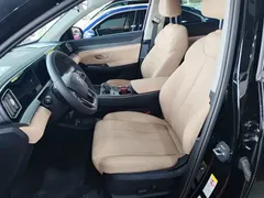 2025 BYD Song Pro 2nd Gen DM-i PHEV 115KM Exceed, чёрный — фото 15