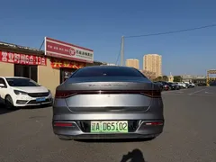 2023 BYD Qin PLUS Champion EV 510km — фото 7