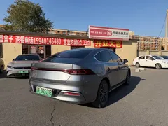 2023 BYD Qin PLUS Champion EV 510km — фото 9