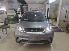 2023 BYD Dolphin 420km Freedom — фото 3
