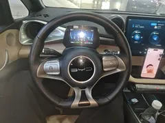 2023 BYD Dolphin 420km Freedom — фото 11