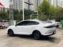 2025 BYD Qin PLUS DM-i PHEV Smart Driving 55km Leading, белый — фото 9