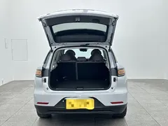 2023 Leapmotor C11 EV 500 Comfort — фото 15