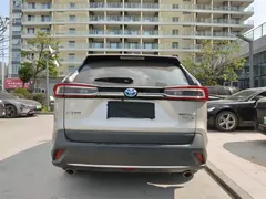 2022 Toyota Wildlander Hybrid 2.5L E-CVT 2WD Luxury Plus — фото 8