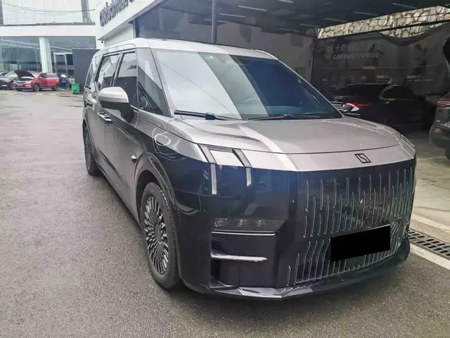 2022 Zeekr 009 WE