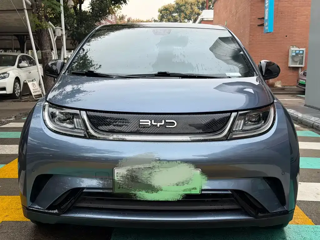 2025 BYD Dolphin 420km Fashion