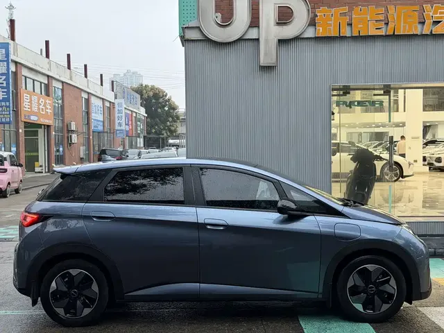 2025 BYD Dolphin 420km Fashion