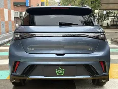 2025 BYD Dolphin 420km Fashion, синий — фото 8