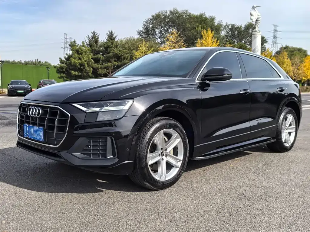 2022 Audi Q8 45 TFSI Luxury Sport