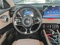2023 BYD Yuan PLUS EV Champion 430km — фото 11