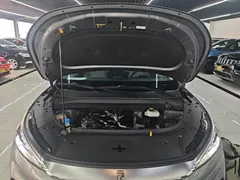2023 BYD Yuan PLUS EV Champion 430km — фото 20