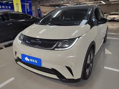 2023 BYD Dolphin 420km Fashion