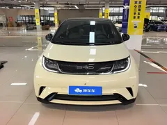 2023 BYD Dolphin 420km Fashion, белый — фото 2