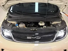 2023 BYD Dolphin 420km Fashion, белый — фото 10
