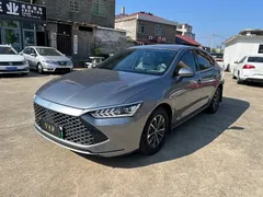 2023 BYD Qin PLUS Champion DM-i PHEV 55KM Leading — фото 1