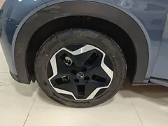2025 BYD Dolphin EV 420km Active, синий — фото 23