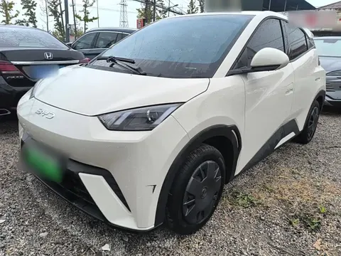 2025 BYD Seagull 305km Vitality