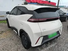 2025 BYD Seagull 305km Vitality, белый — фото 5