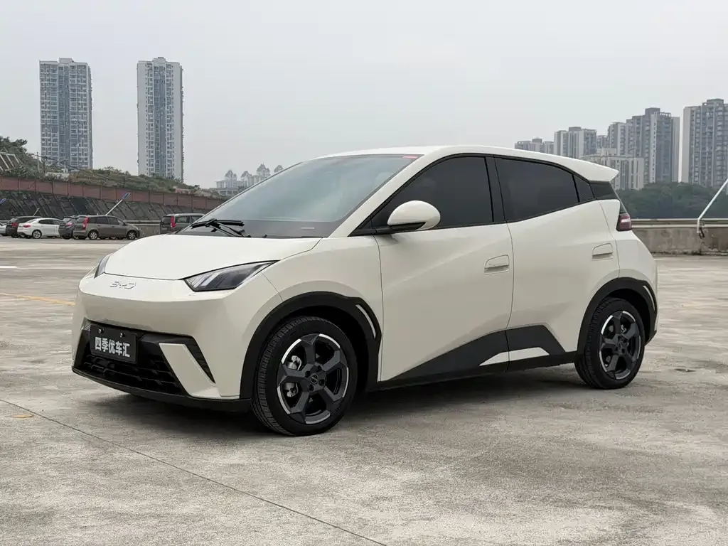 2024 BYD Seagull EV 305km Honor Freedom