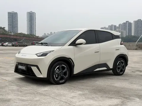2024 BYD Seagull EV 305km Honor Freedom