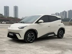 2024 BYD Seagull EV 305km Honor Freedom, белый — фото 1