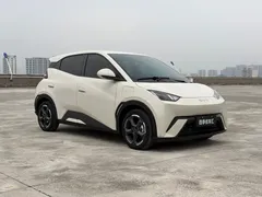 2024 BYD Seagull EV 305km Honor Freedom, белый — фото 3