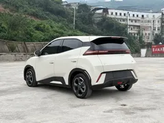 2024 BYD Seagull EV 305km Honor Freedom, белый — фото 7