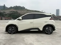 2024 BYD Seagull EV 305km Honor Freedom, белый — фото 8