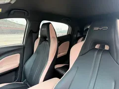 2024 BYD Seagull EV 305km Honor Freedom, белый — фото 10
