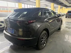2021 Mazda CX-30 2.0L AT — фото 7