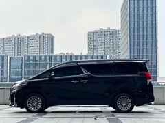 2020 Lexus LM 300h 4, чёрный — фото 13