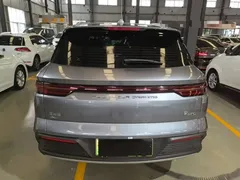 2024 BYD Song Pro Glory Edition DM-i PHEV 110km — фото 6