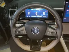 2024 BYD Song Pro Glory Edition DM-i PHEV 110km — фото 11