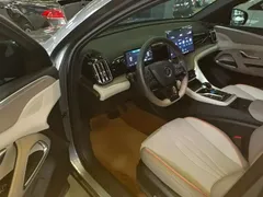 2024 BYD Song Pro Glory Edition DM-i PHEV 110km — фото 16