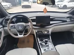 2024 BYD Qin PLUS Honor DM-i PHEV 55km Leading, белый — фото 10